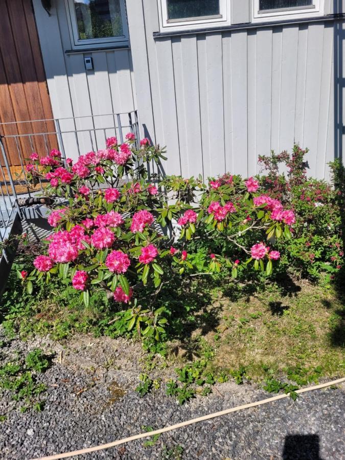 Hus Ved Lillestrom By别墅 外观 照片